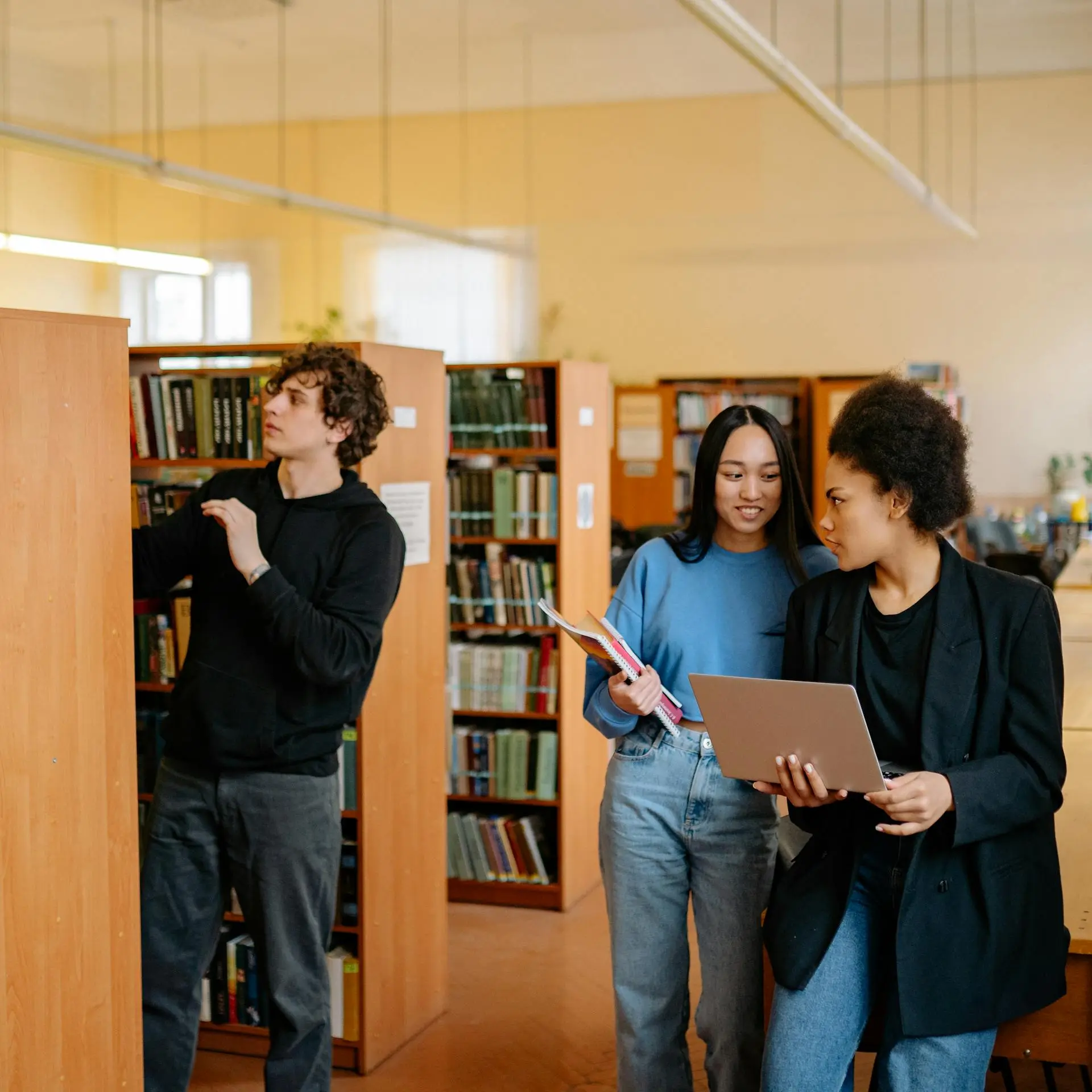 International Learning Standards